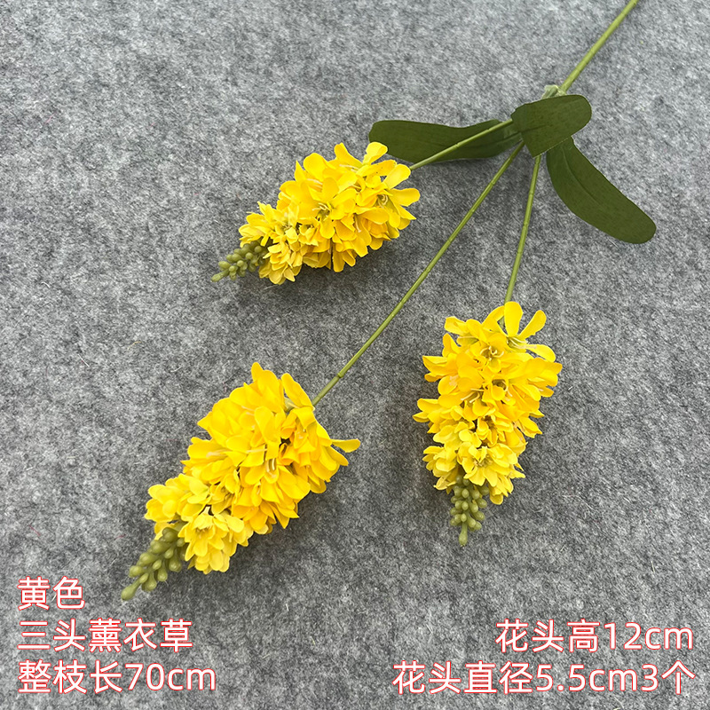 세 머리 라벤더-노란색