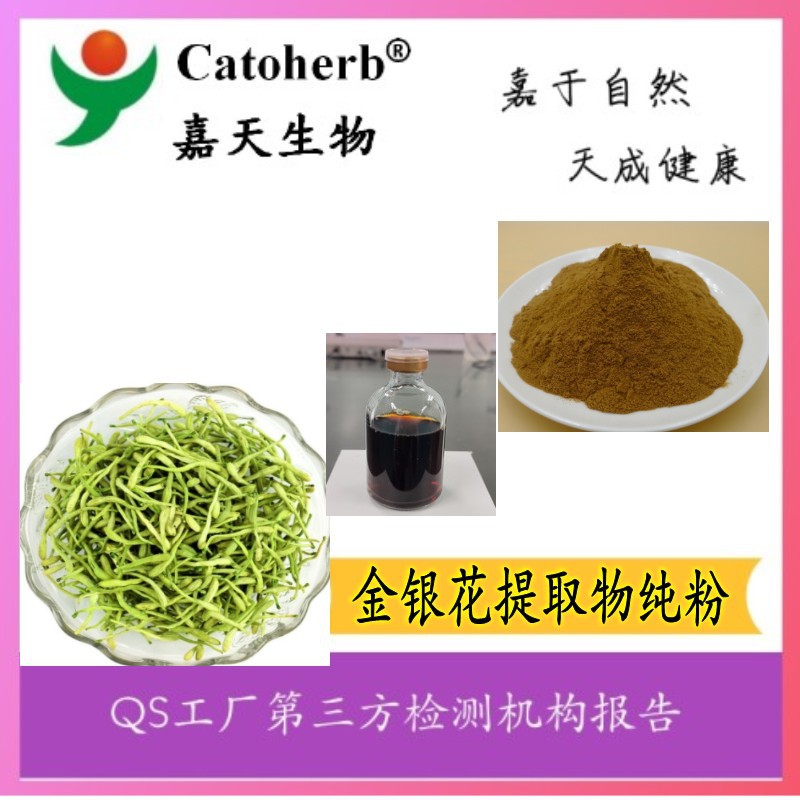 医药金银花提取物  纯粉 食品级 饲料添加剂 多种规格 量大从优