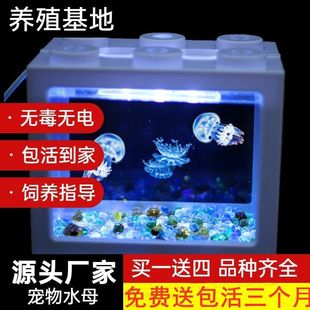 �W�t����o���o늌��Iˮĸ��ˮĸ�������l�߲������Ѽ��˪���վ
