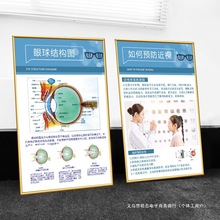 验光流程图眼科诊所配镜海报眼睛店装饰面挂画眼球结构图装饰画