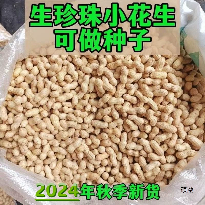Сезонные очищенные арахисовые семена, свежеподобранные и естественно высушенные на солнце, сырые арахисовые семена в кожуре оптом