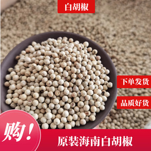 ���ϰ׺������ϰ׺����w�� �ں��� ������ �� ���N���{������