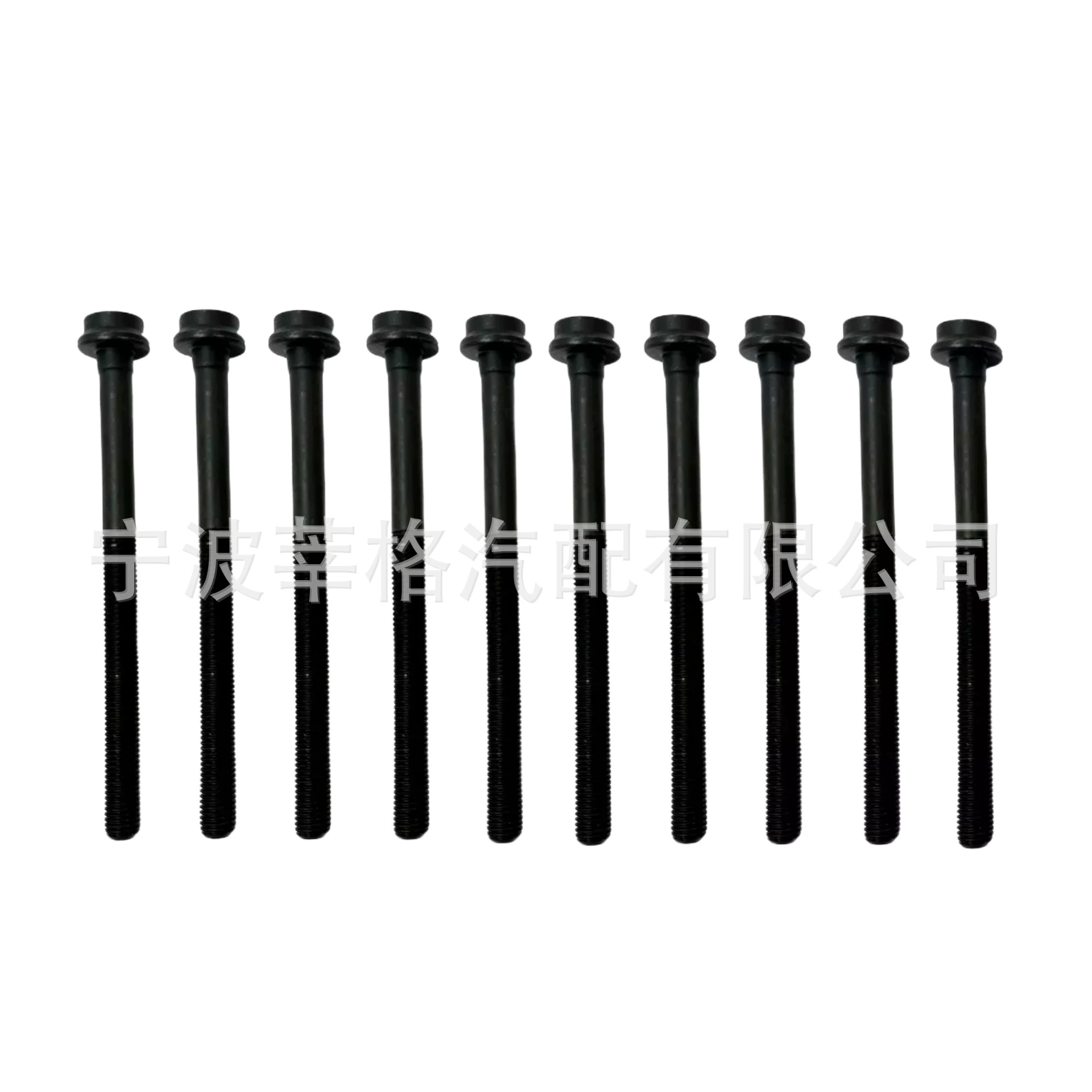 Комплект болтов головки цилиндров для моделей 98-11 Mercedes-Benz 4.3L-5.5L 81055400