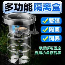 ��ȸ�~��ֳ���~�׃ȸ��x��Ư��С�~��С���~���~ĸ�~������������