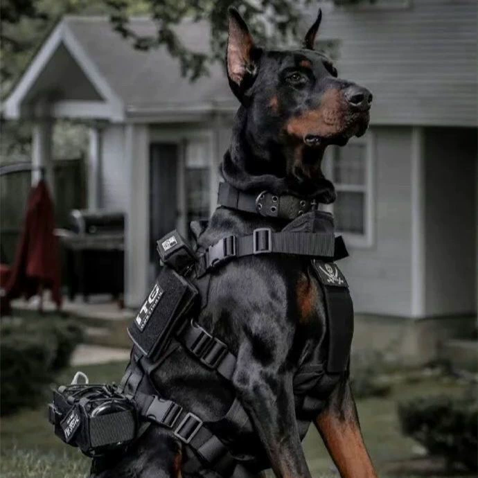Намордник против укусов собак против укусов Dubin Тактический намордник взрывозащищенный конь собака гончая рабочее оборудование для дрессировки собак
