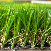 ƿSֱN^30/16/09eIͥԺ˹ƺl