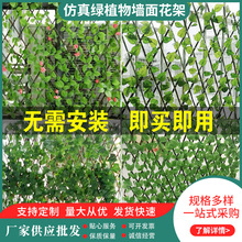 ����Gֲ��滨����sľ�ř�ͥԺ�̨����ڗU�o�ڻ��@�h�ʇ���