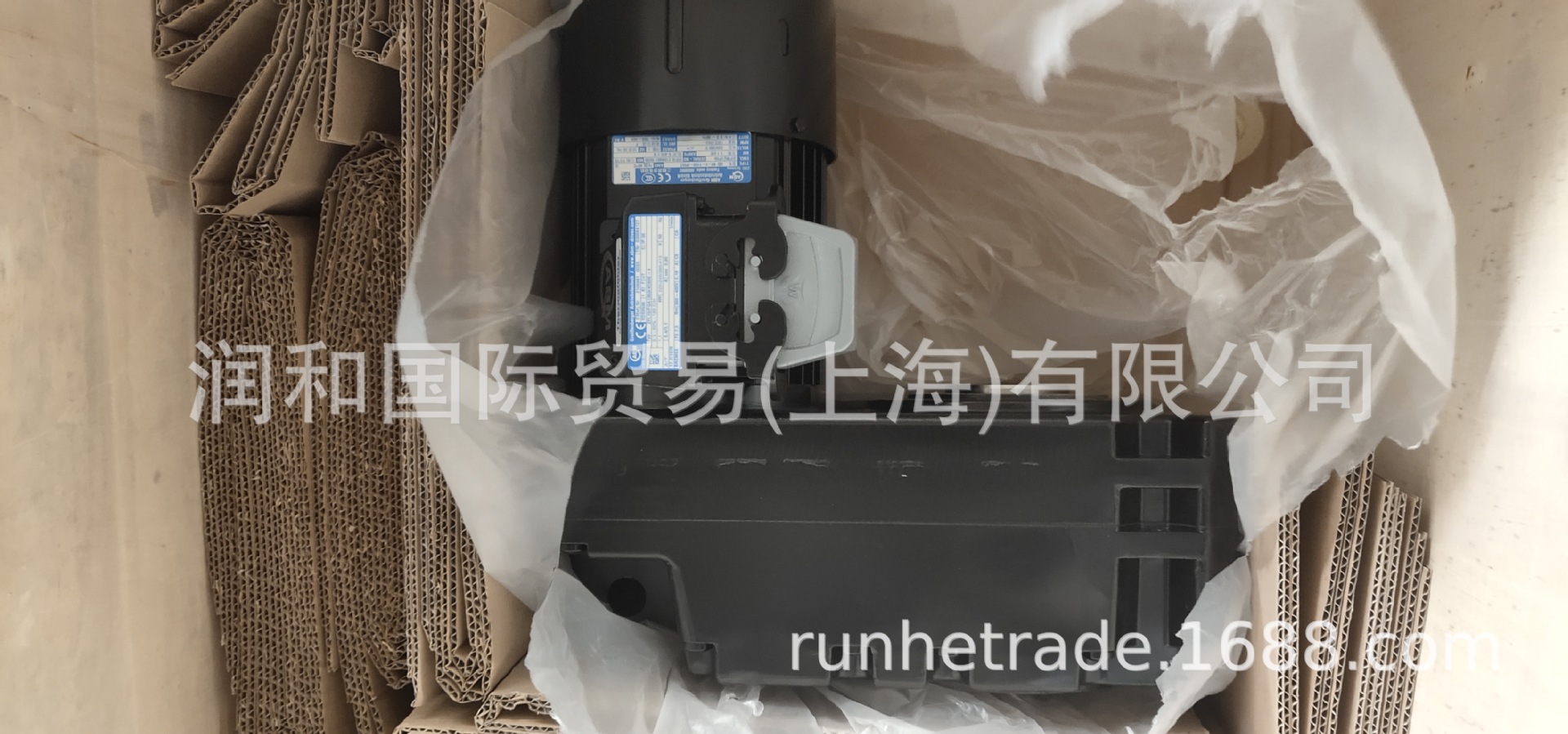 4302dc81216ba30d80d6e1cae5d4e2