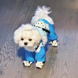 ����������K���򱳎�ѝ������С��Ȯ̩���B�wѝ�_�׌����ˮЬ��