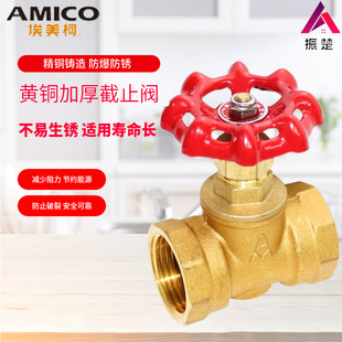 Amico�������S�~�Ӻ���ݼy��ֹ�y��݆����ʽ���˼����y�T4��-4��
