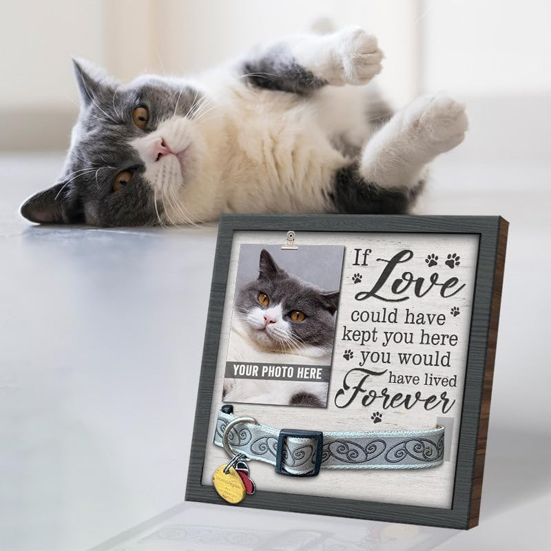 Wooden pet collar photo frame dog growth record photo frame can be placed collar with small clip commemorative photo frame