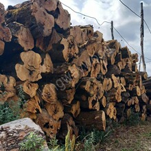 意大利橄榄木原木板材实木板进口欧洲菜板披萨板工艺原材料厨具材