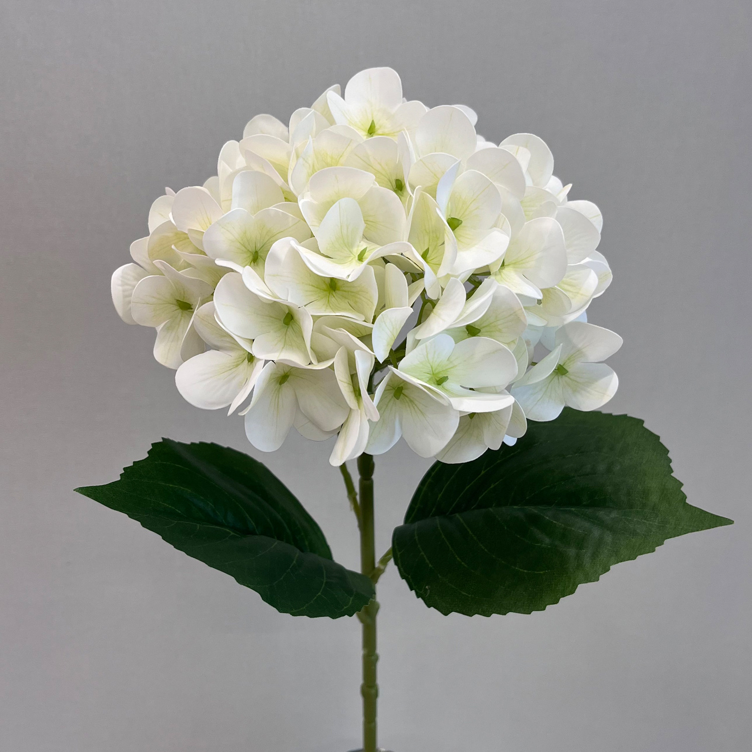 Hortensia de película 3D individual-blanco