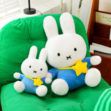 ��ͨ�ɐ��׷����ǿ��������������ë�q��ż����ץ���ޙC���Q�Y��