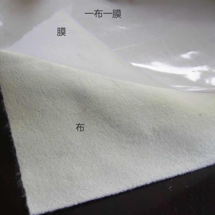 复合土工膜公路隧道一布一膜河道护坡复合土工膜防渗布两布一膜