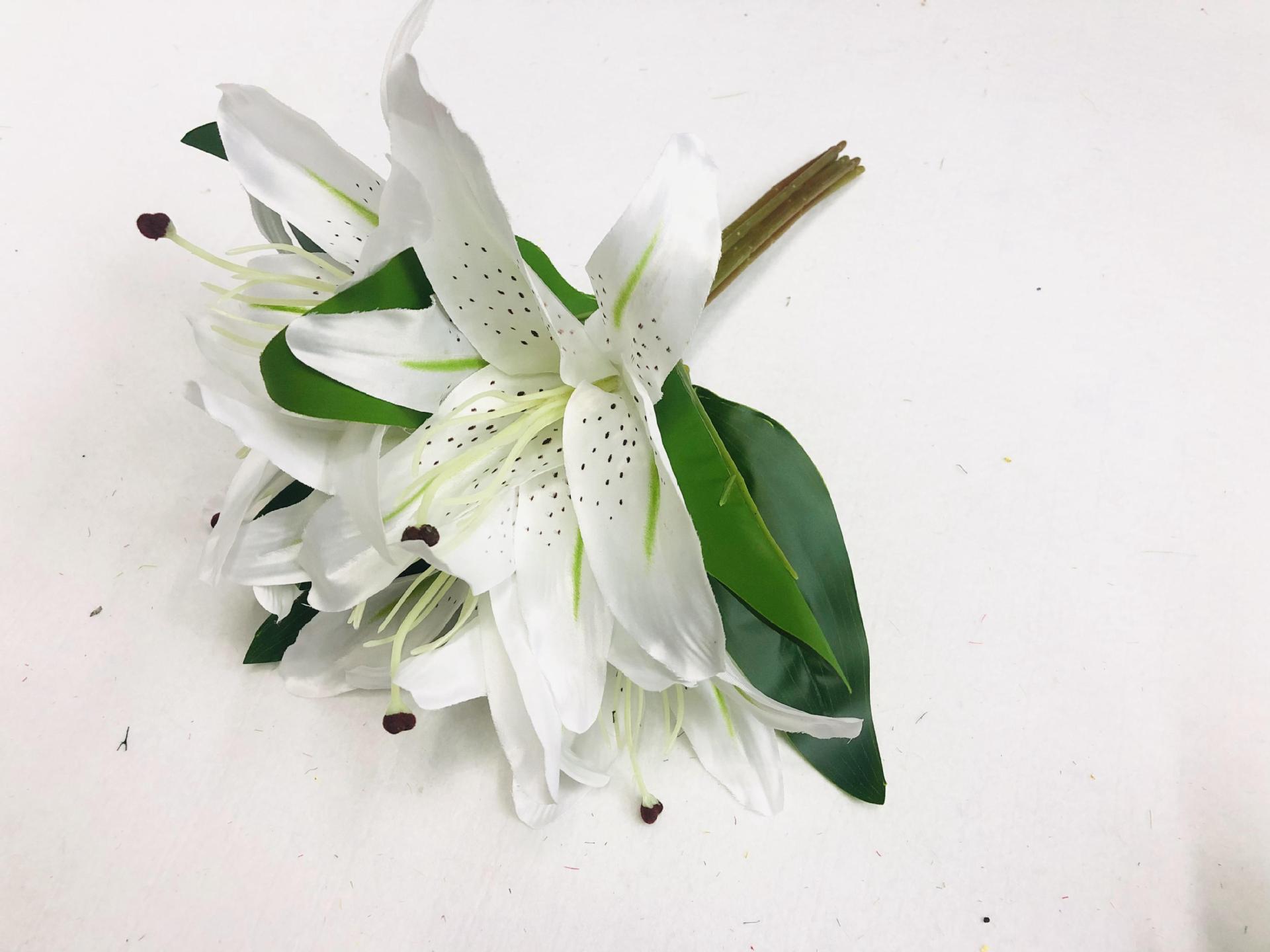 2021_08_15_13_44_IMG_2636