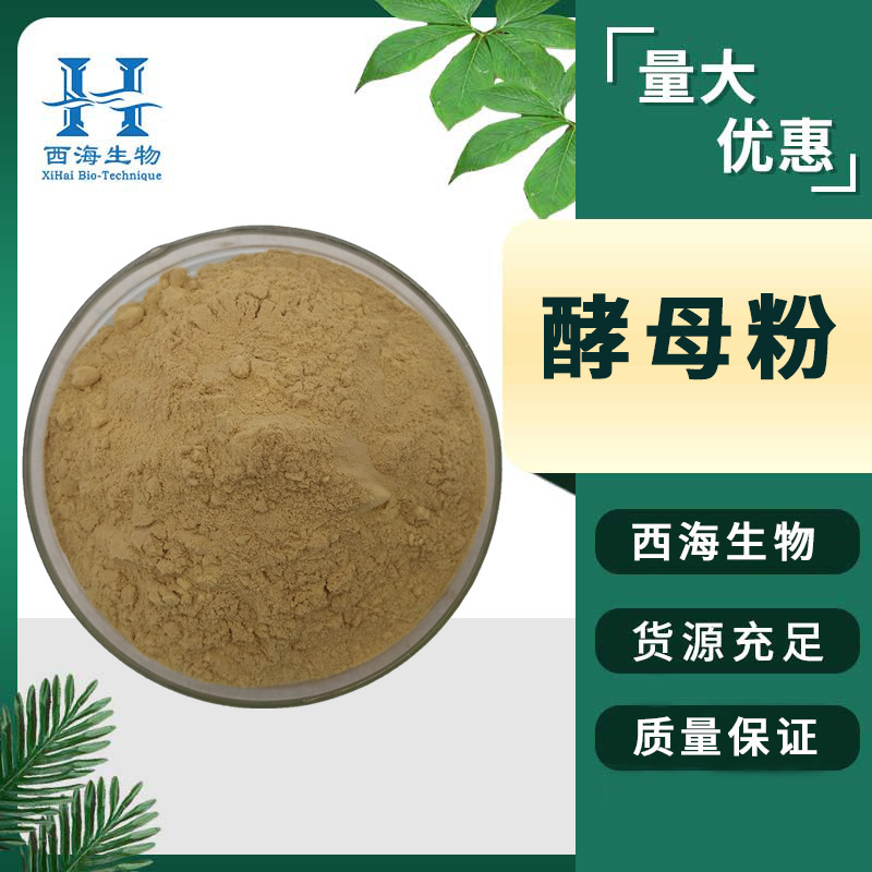In Stock with Free Shipping 99% Yeast Powder Food Additive Baking Powder Large Quantity and Excellent Price Water-Soluble Yeast Extract Powder