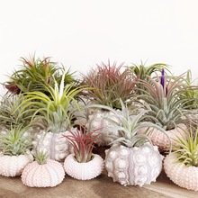 �՚��P�溣đ���ײ͟o��ֲ��M���k���҃ȾGֲ�����滨�����Ժ���