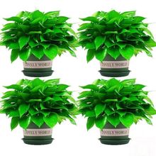 ҃Ȼֲ·GֲˮG}lһˮ