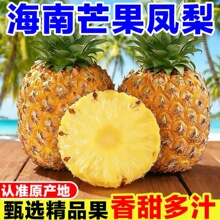 ���ں���â���P����˺�ǲ��}�����֭���rˮ������Ƥ���������