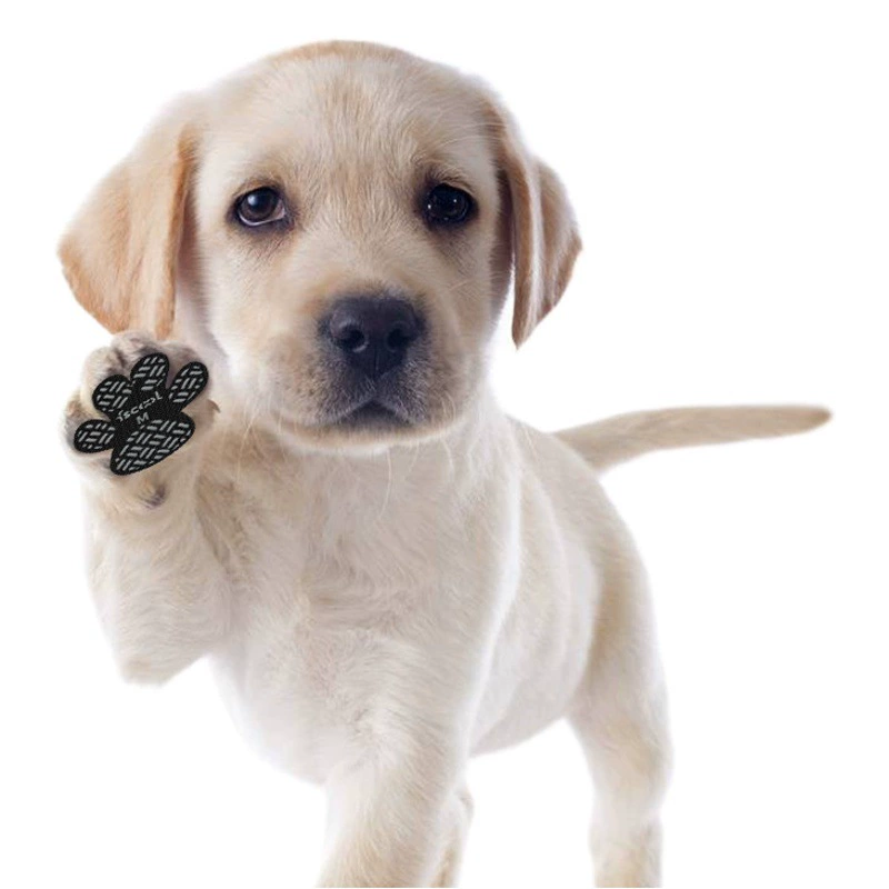 Производители новые наклейки на лапки домашних животных Водонепроницаемая анти-Грязная Обувь для собак Стельки Тедди Летняя Повседневная дышащая обувь для собак