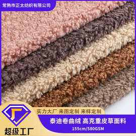 定制卷曲绒高克重泰迪小卷毛时尚服装鞋帽沙发毯玩具绒布