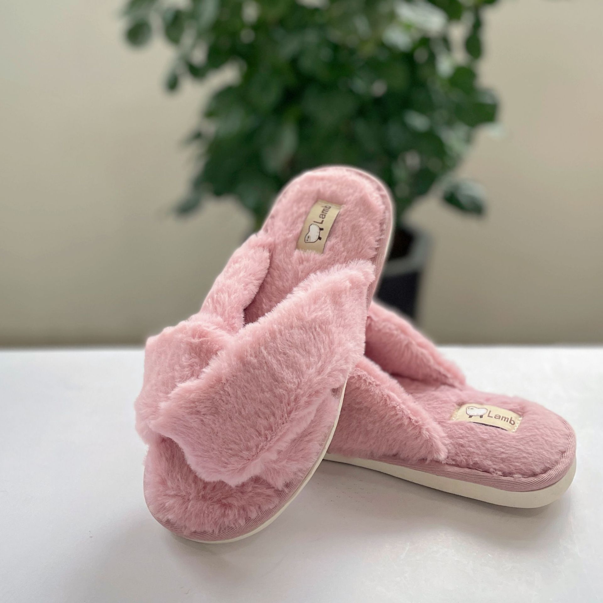 Women's Casual Geometric Open Toe Cotton Slippers display picture 3