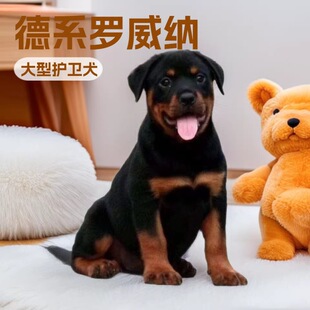 ���l���Ƽ��N���͵�ϵ�_���{����Ȯ܊��Ȯ�Ѿ�Ȯ�o�lȮ��Ȯ���w��