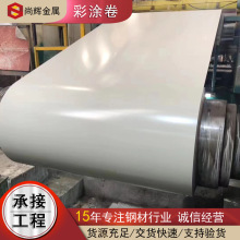 SGCC�ʉT�� PVDF��̼ ���N�ɫ���ͺ�ʉT�� �����0.3��䓰剺��