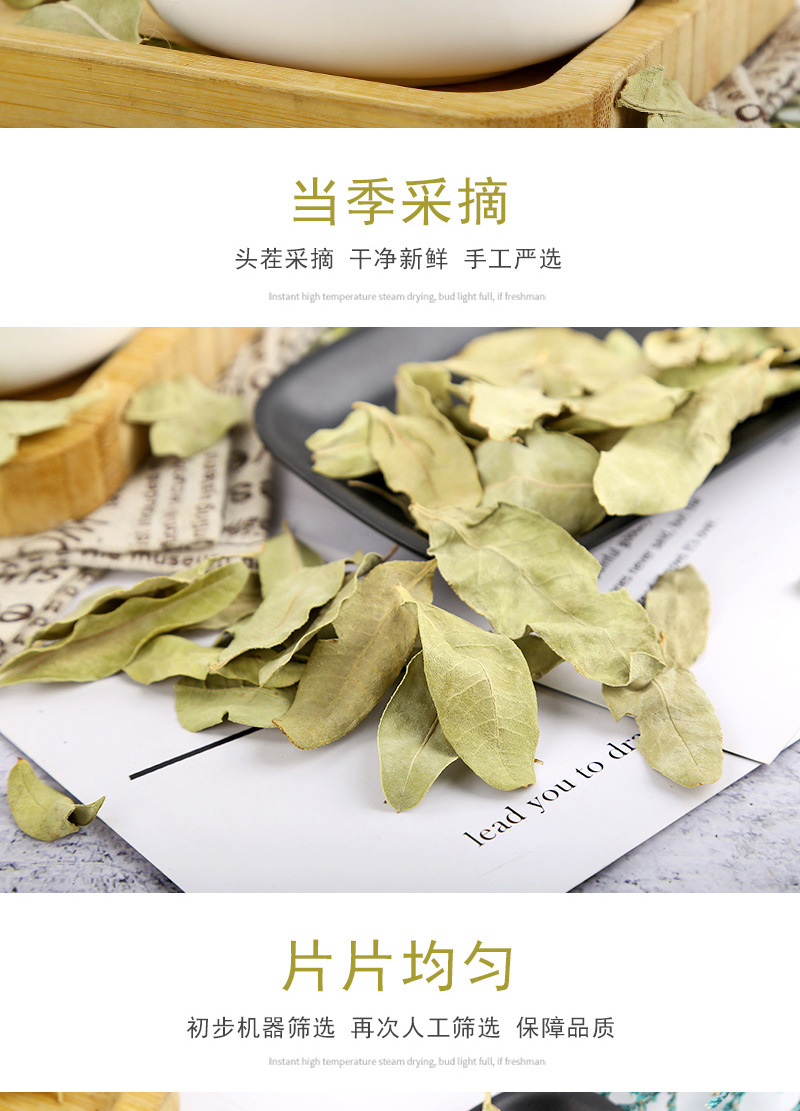 Luobuma Tender Leaf & Bud (Apocynum venetum) — Xinjiang Dried Food Herb, 500g specifications