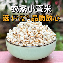 【严选货】小薏米新货500克五谷杂粮粗粮薏苡仁批发薏米仁代发货