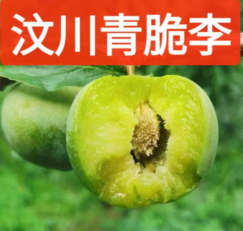 Sichuan Green Crispy Plums, Red Plums, Green Crispy Boneless Plums, Half-Red Hollow Phoenix May Crispy Fruits, Whole Box Sichuan Green Crispy Plums, Red Plums, Green Crispy Boneless Plums, Half-Red Hollow Phoenix May Crispy Fruits, Whole Box