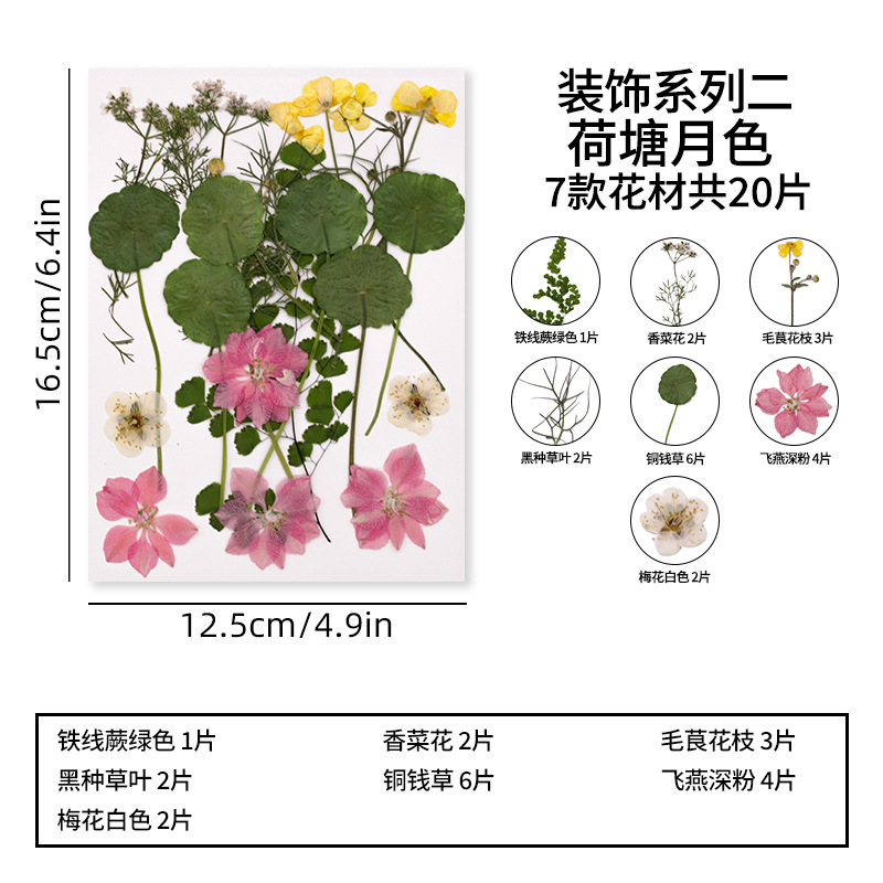 장식 시리즈 두 연꽃 연못 달빛
