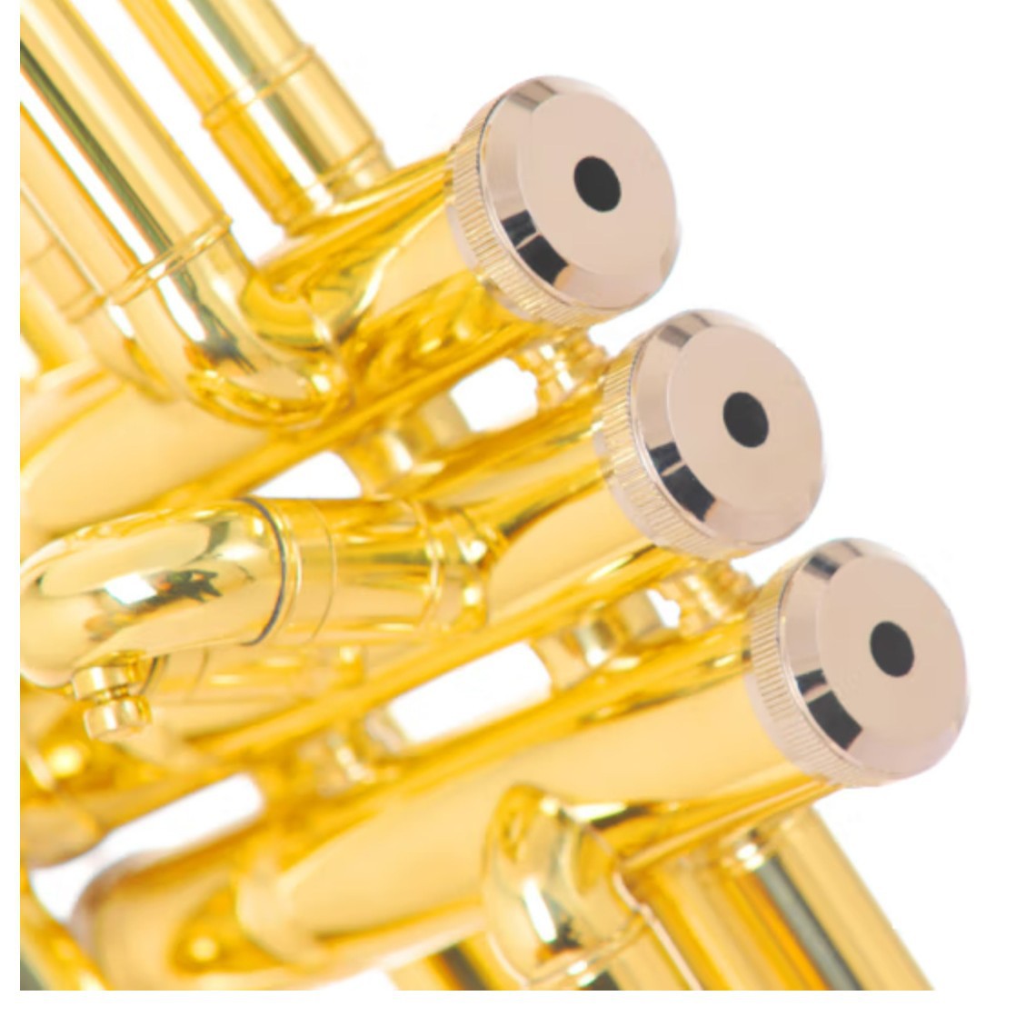 Sedeson Beginner's Piston Golden Edition STR-100