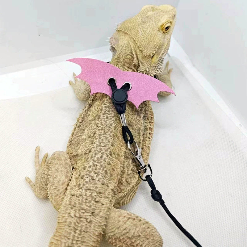 Тяговый канат для ящерицы, маленькая белка, зеленая гепардовая ящерица, ошейник для рептилий, уличный тяговый канат, средства для защиты от побега, товары для домашних животных