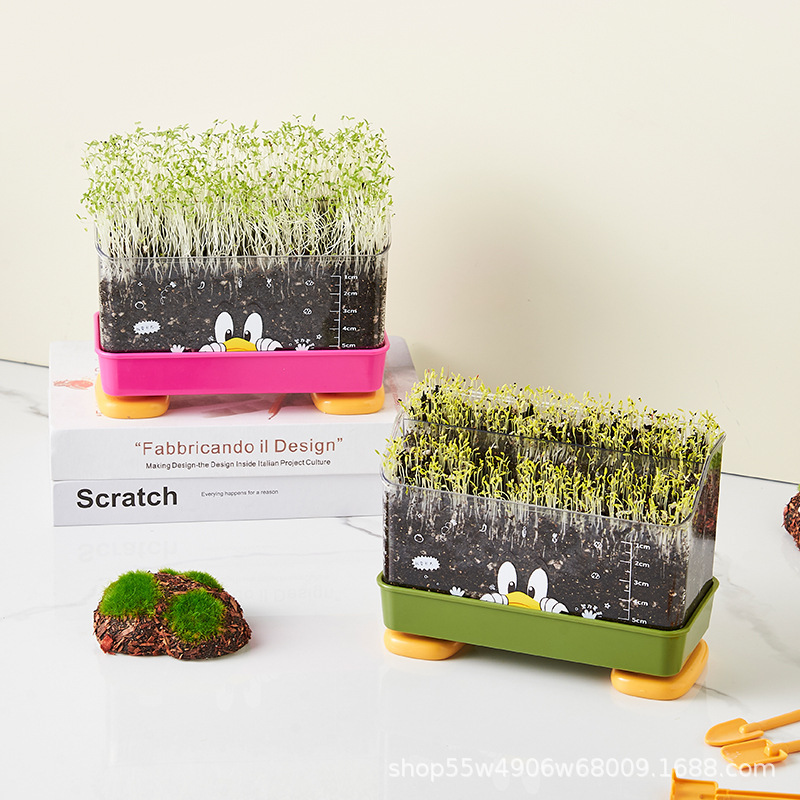 Multifunctional Plant Growth Observation Box, Sunlight Growing House, Children's Girls' Kindergarten Vegetable Growing Toy, Green Plants Multifunctional Plant Growth Observation Box, Sunlight Growing House, Children's Girls' Kindergarten Vegetable Growing Toy, Green Plants