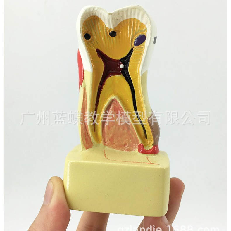 ����ģ�� ���ݲ��ۺϲ���ģ�� ���ݽ�������ģ�� ���� ҽ����ͨ