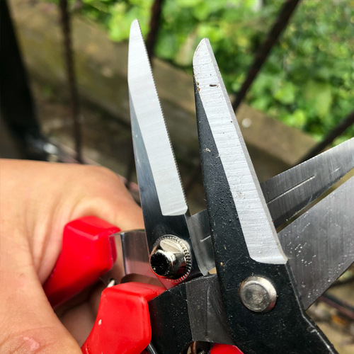 Grape pruning scissors, gardening fruit bud picking scissors, citrus fruit pruning scissors, flower picking and thin fruit pruning, fruit and vegetable pruning scissors for gardening