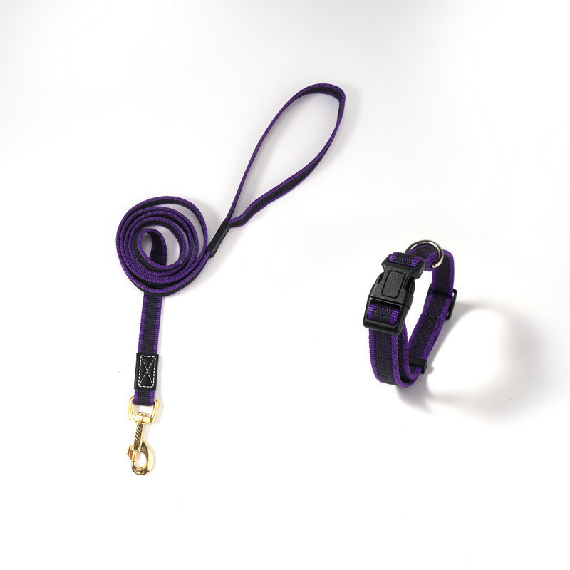 보라색 견인 로프 + 칼라
