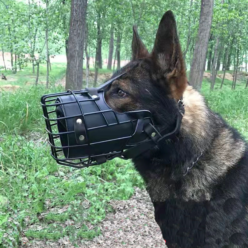 Cubierta de boca de acero inoxidable piel de vaca entrenamiento de perros jaula de boca de protector de pastoral de gran tamaño equipo de entrenamiento de perros jaula de boca esférica resistente a la mordida