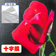 源头供应影楼专业布纹膜十字膜喷绘写真装饰画相片软质PVC保护膜
