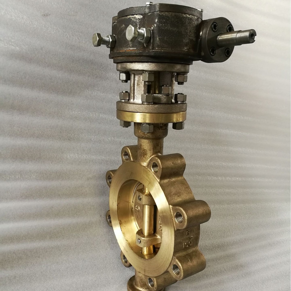 美标凸耳蝶阀 铝青铜蝶阀 C95800蝶阀 LUG蝶阀 海水蝶阀 B148蝶阀