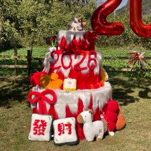 ����Շ������b����Lë�q���ϵ����b�翨ͨ��ż����2026�쾰