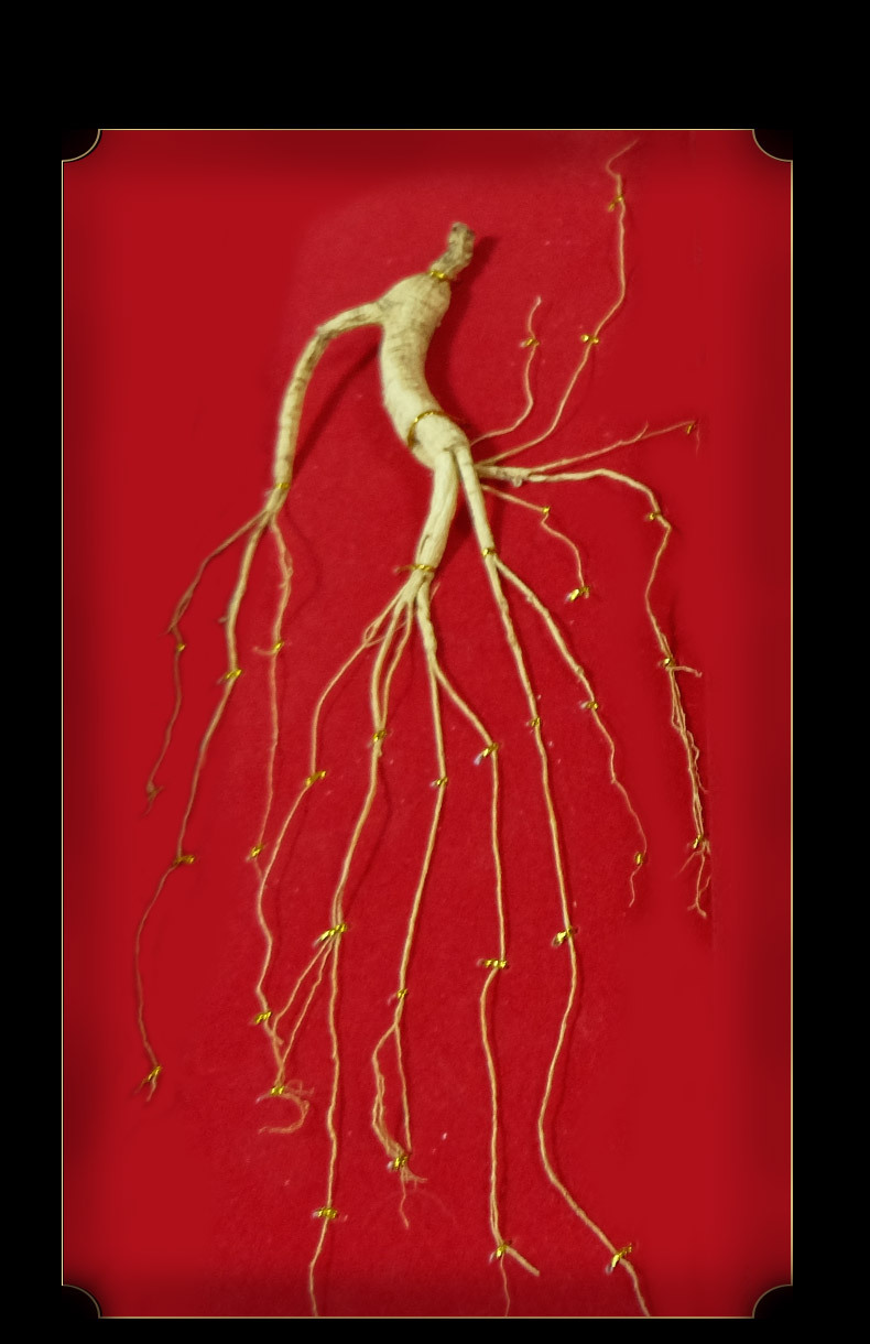 Changbai Mountain Six Treasure Red Ginseng Gift Box Sliced for Soup and Wine Soaking Holiday Gift specifications