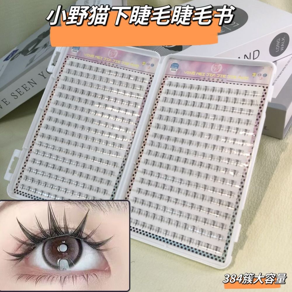 Colección de libros de pestañas para principiantes gran capacidad mezcla perezosa simulación natural densa falsa pestañas cómic flores de sol