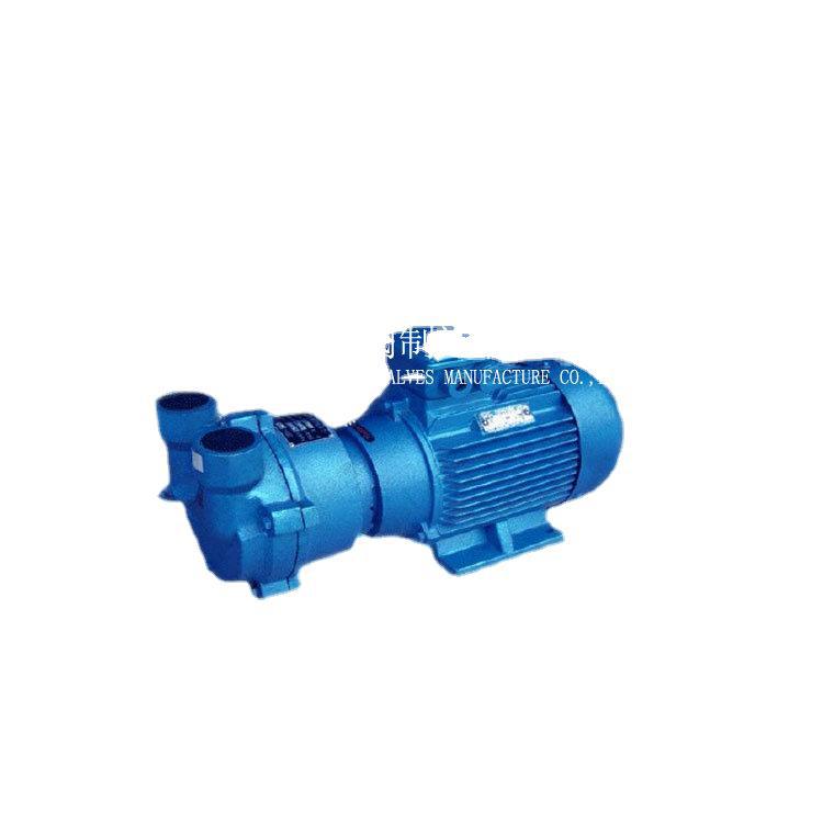 上海龙亚泵业长期供应ZILMET-SKA-2061BT4真空泵 水环真空泵