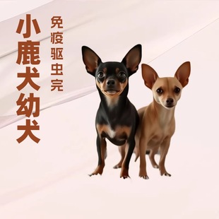 ���NС¹Ȯ��Ȯ���w��������С¹���豭Ȯ���ﹷС���^�pȮС��