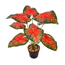 �Gֲ9�^�f����G�}�~ֲ�����Լt�~�ӻ�c�Ҿ��b��滨����Gֲ