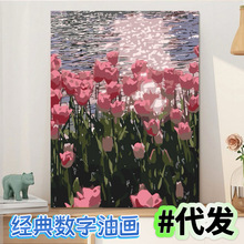 diy数字油画批发彩画成人手绘填色客厅卧室装饰画挂画亚马逊跨境
