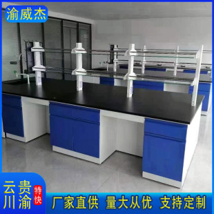 All-Steel Experimental Bench Pp Wall Cabinet Corrosion-Resistant School Laboratory Workbench Inspection Bench Laboratory Physical and Chemical Board Operation